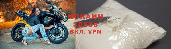 дмт Богданович