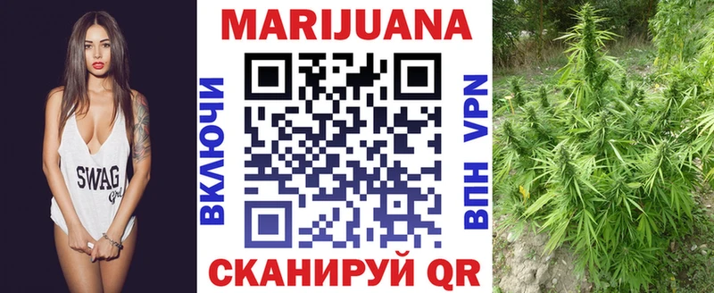 Бошки Шишки гибрид Городец