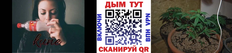 Шишки марихуана план  Городец 